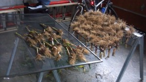 2013-07-13_19-14-03_687