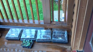 2013-07-17_16-08-17_478