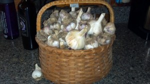 2013-07-23_15-13-59_228