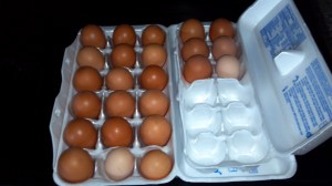 2013-07-28_13-27-37_407