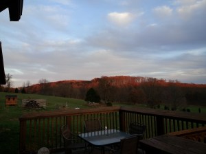 wpid-20131109_170838.jpg