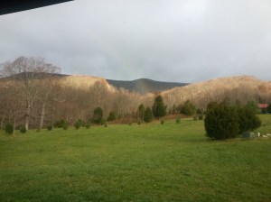 wpid-20131112_081628.jpg