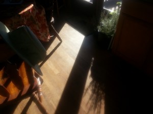 wpid-20131113_092535.jpg