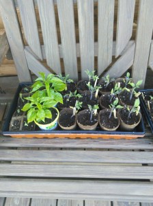 20140525_180750_Android