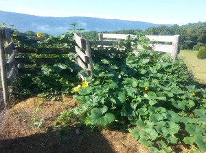 20140717_085157_Android