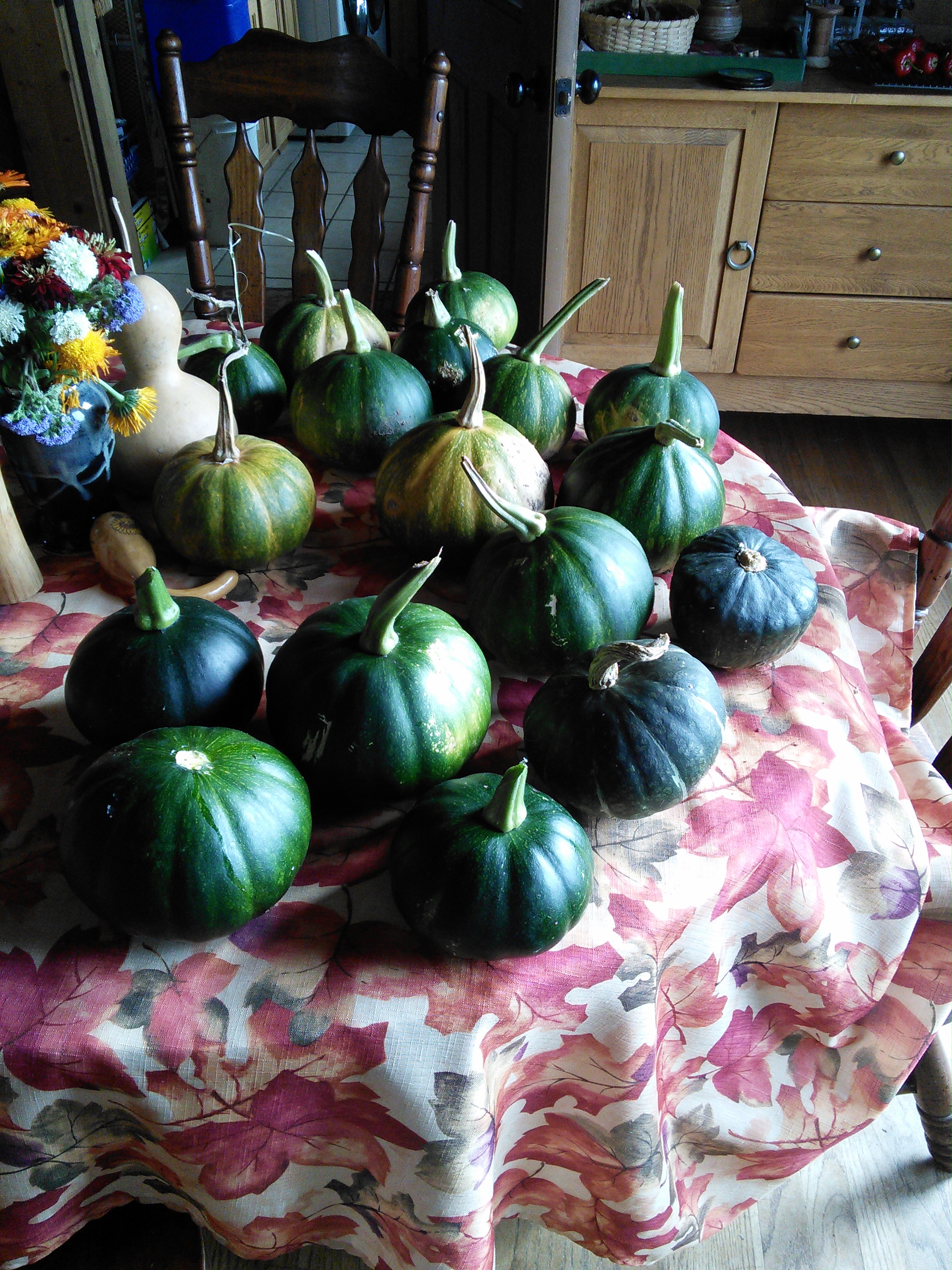 wpid-img_20141031_102450.jpg image