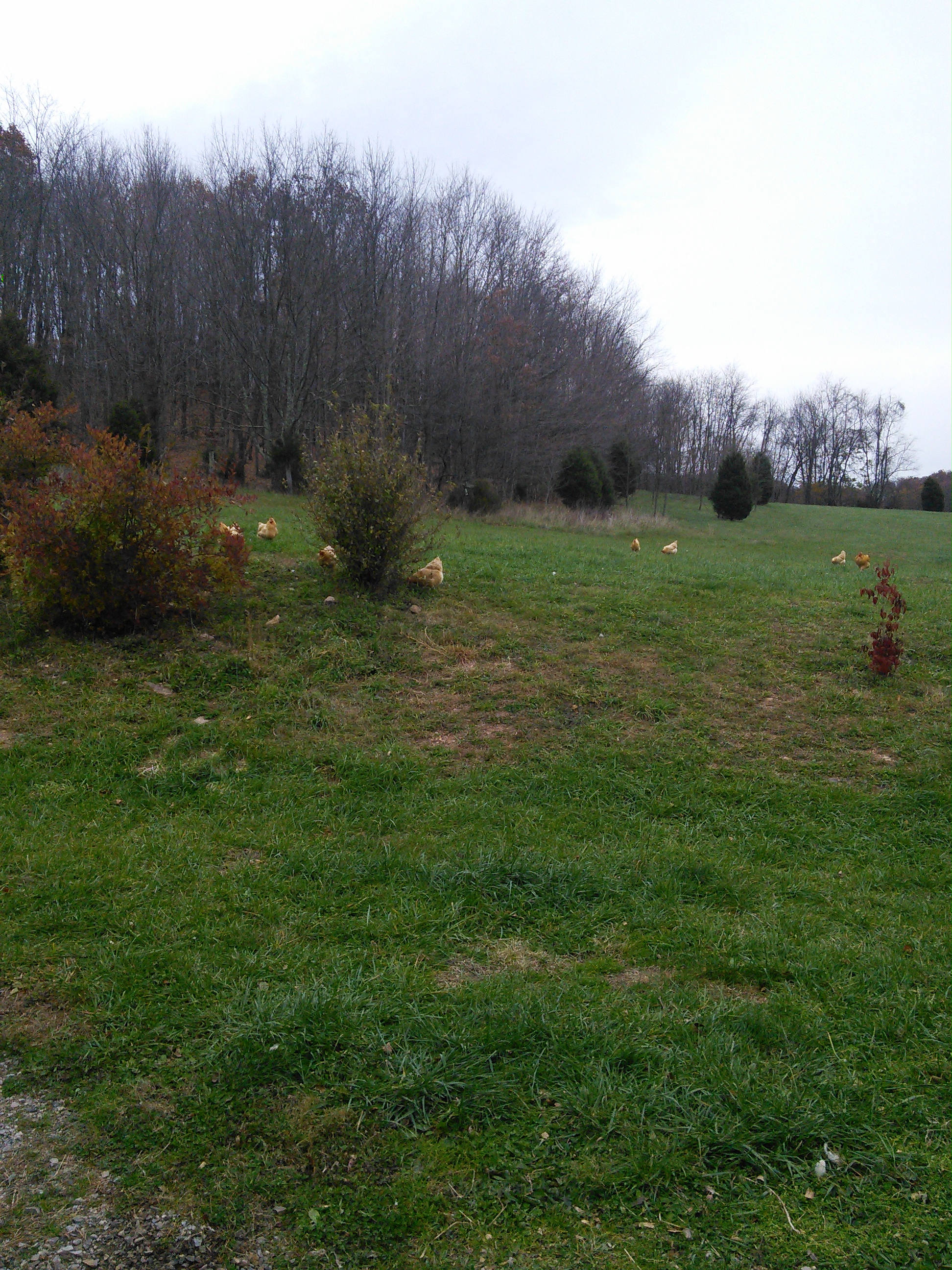 wpid-img_20141105_095620.jpg image