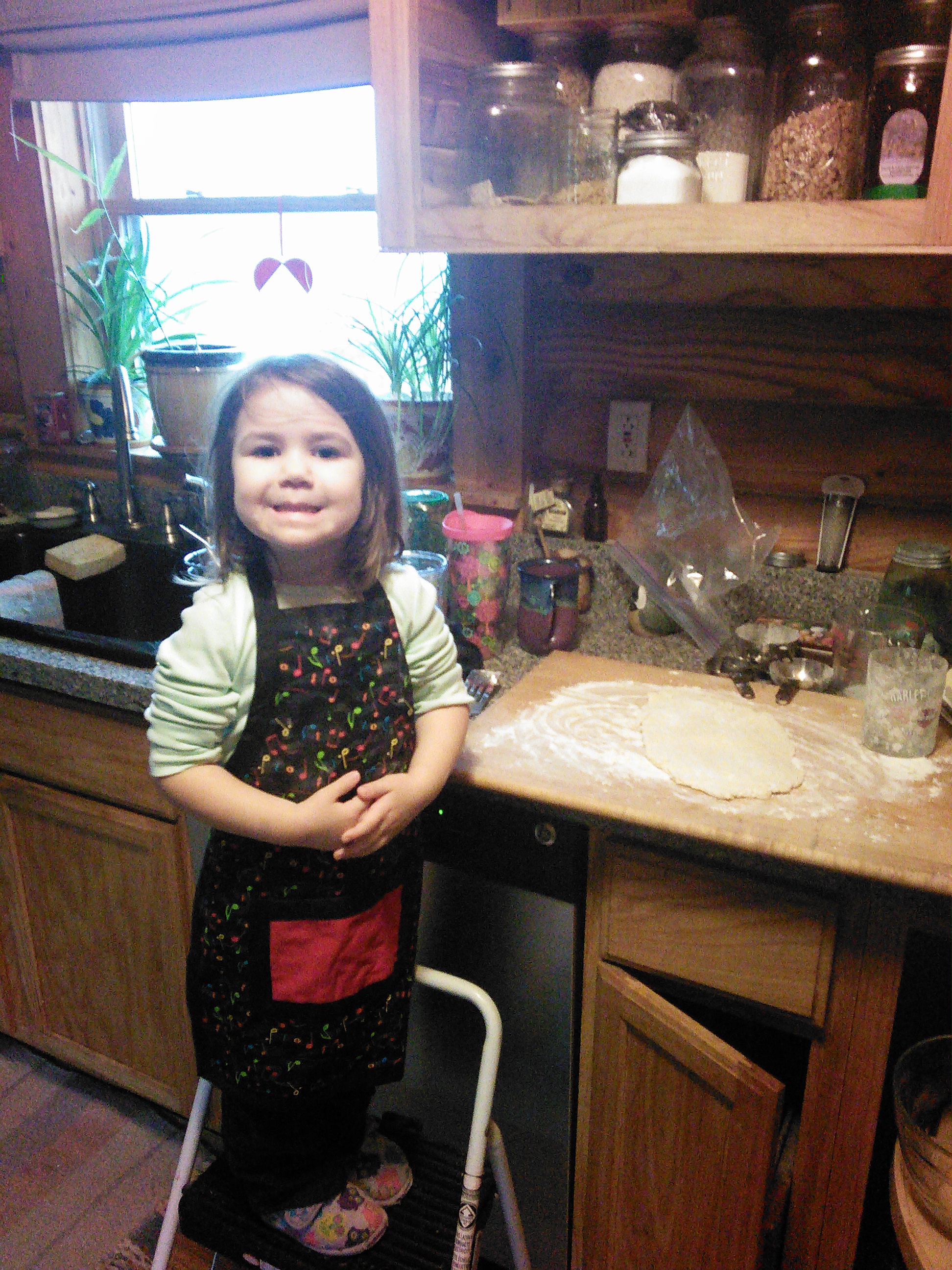 wpid-wp-1421181339530.jpeg image