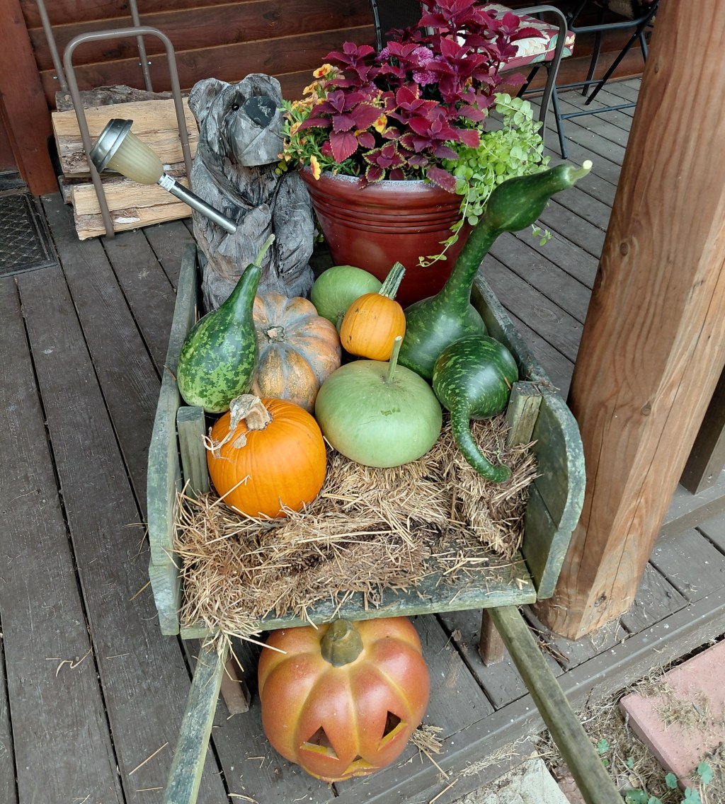 A Week On the&nbsp;Farm